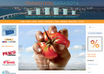 Transition Sarasota website Oct. 13 2015