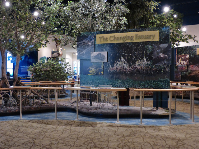 A display inside Inside the Nature Center at Ding Darling. Photo by Fran Palmeri