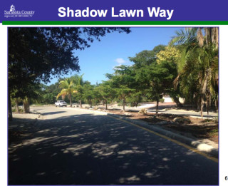 A staff photo shows the existing trees along Shadow Lawn Way. Image courtesy Sarasota County