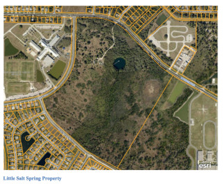 Little Salt Spring is shown on an aerial map. Image courtesy Sarasota County