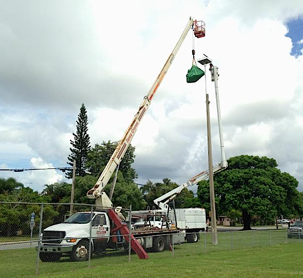 City workers use a crane to relocate the inactive nest. Photo courtesy City of Sarasota 