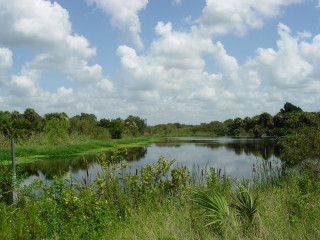 Deer Prairie Creek Preserve offers an abundance of opportunities for public use, county staff says. Photo courtesy Sarasota County
