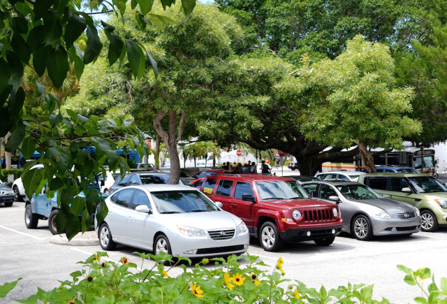 Homeless people gather under the shade trees in the City Hall parking lot in September 2013. File photo