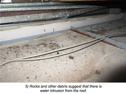 A photo in a Pure Air Control Services report to the county shows mold in Venice Public Library. Image courtesy Sarasota County