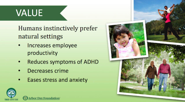 The Arbor Foundation lists numerous benefits of trees in a community. Image from the Foundation website