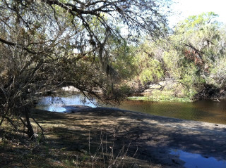 Myakkahatchee Environmental Park is in North Port. Image courtesy Sarasota County