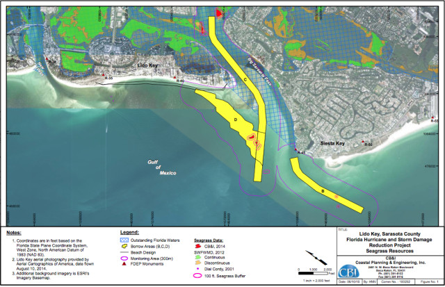 A graphic submitted by the U.S. Army Corps of Engineers to the FDEP documents seagrass in the project area. Image courtesy FDEP