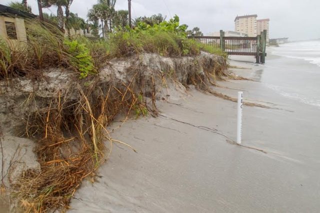 On June 6, erosion from Tropical Storm Colin was evident on Lido Key Beach. The white marker denotes the boundary of the Ritz Carlton property. Photo courtesy of Laura Bryg