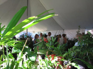 Participants browse plants during the ninth annual sale. Contributed photo