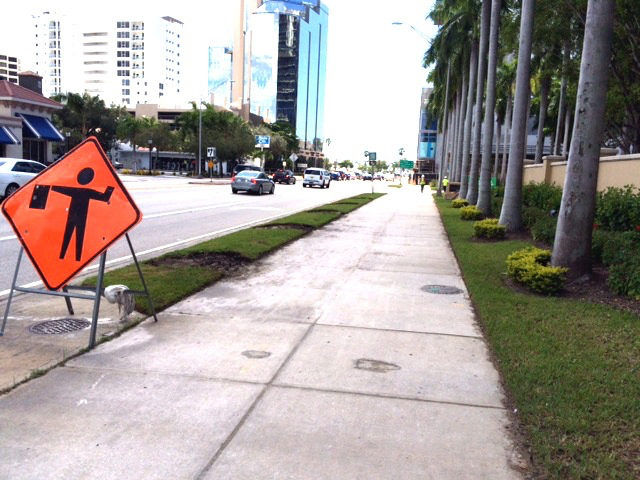 Residents realized in mid-September that the palms next to the road were missing. Photo courtesy City of Sarasota