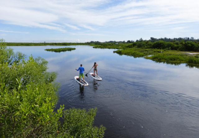 Kayakers take in the serenity of Robinson Preserve in Manatee County. Photo by Fran Palmeri