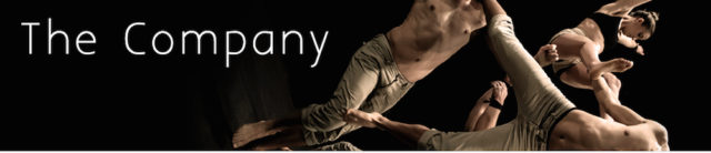 Gravity and Other Myths dazzled audiences with the members' athleticism. Image from the company website