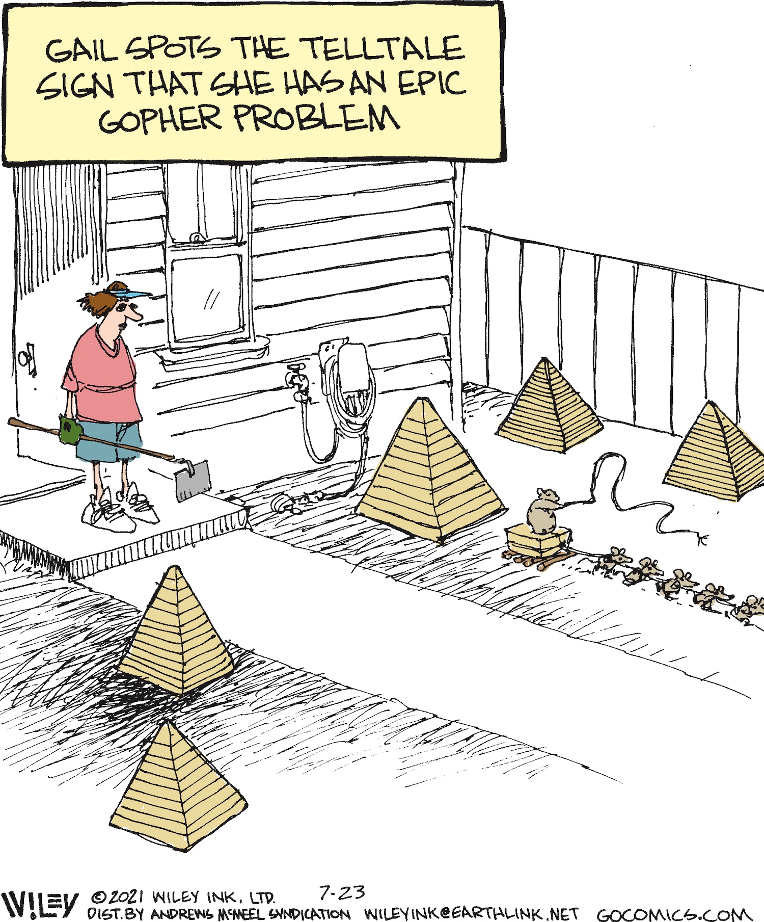 Non Sequitur Comic Today - 66kokn9